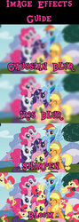 Size: 512x1438 | Tagged: safe, artist:roborg, derpibooru exclusive, apple bloom, applejack, fluttershy, pinkie pie, rainbow dash, rarity, twilight sparkle, earth pony, pegasus, pony, unicorn, g4, blurry, female, filly, group photo, group shot, image macro, looking at you, mare, meme, name pun, pun, seems legit, visual effect, visual pun