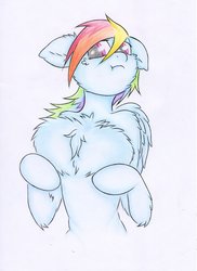 Size: 1024x1410 | Tagged: safe, artist:rurihal, rainbow dash, pegasus, pony, semi-anthro, g4, cheek fluff, chest fluff, female, floppy ears, impossibly large chest fluff, mare, solo, traditional art