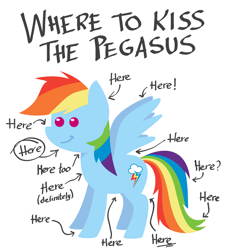 Size: 900x1000 | Tagged: safe, artist:m.w., rainbow dash, pegasus, pony, g4, arrow, chart, cute, dashabetes, female, implied kissing, mare, pointy ponies, simple background, smiling, solo, white background