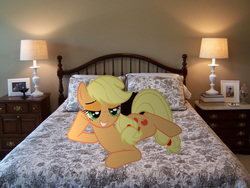 Size: 2576x1932 | Tagged: safe, artist:hachaosagent, artist:iamthegreatlyra, applejack, earth pony, pony, g4, bed, bedroom eyes, female, irl, mare, photo, ponies in real life, solo, vector