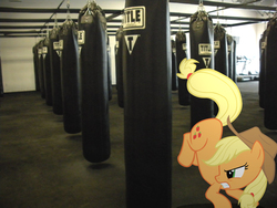 Size: 1600x1200 | Tagged: safe, artist:hachaosagent, artist:theaceofspadez, applejack, earth pony, pony, g4, female, irl, kicking, mare, photo, ponies in real life, punching bag, solo, vector
