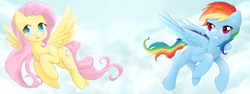 Size: 1600x600 | Tagged: safe, artist:tokokami, fluttershy, rainbow dash, g4, cloud, flying