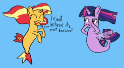 Size: 2446x1340 | Tagged: safe, artist:artiks, derpibooru exclusive, sunset shimmer, twilight sparkle, alicorn, pony, seapony (g4), g4, bacon, bacon hair, blue background, blushing, cute, food, implied ponies eating meat, meat, nom, not fiery shimmer, omnivore sunset, seaponified, seapony sunset, seapony twilight, shimmerbetes, silly, silly pony, simple background, species swap, stifling laughter, twilight sparkle (alicorn)