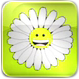 Size: 79x79 | Tagged: safe, app, flower, happy flower, icon, no pony, there's a pony for that