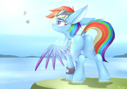 Size: 4240x3000 | Tagged: safe, artist:mistydash, rainbow dash, pegasus, pony, g4, butt, dock, female, flying, goggles, high res, mare, plot, rainbutt dash, rear view, solo, tail wrap, water