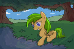 Size: 1003x668 | Tagged: safe, artist:ijustloveit619, artist:thistledsky, oc, oc only, oc:gold star, pegasus, pony, amputee, reflection, river, solo, tree