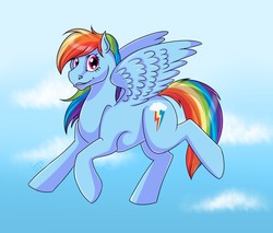 Size: 1280x1088 | Tagged: safe, artist:jenery, rainbow dash, pegasus, pony, g4, cloud, female, looking at you, mare, sky, solo