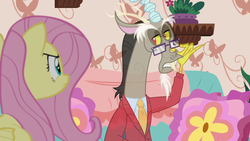 Size: 1280x720 | Tagged: safe, screencap, discord, fluttershy, draconequus, pony, discordant harmony, g4, clothes, fading, glasses, sweater, transparent