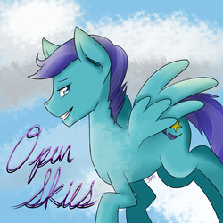 Size: 1500x1500 | Tagged: safe, artist:jaybeaniemags, open skies, pegasus, pony, g4, male, solo, stallion