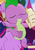 Size: 332x480 | Tagged: safe, screencap, spike, twilight sparkle, alicorn, dragon, pony, g4, my little pony: the movie, eyebrows, eyes closed, fangs, feet, quill pen, scroll, solo focus, twilight sparkle (alicorn)