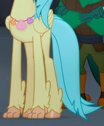 Size: 265x321 | Tagged: safe, screencap, mullet (g4), princess skystar, classical hippogriff, hippogriff, parrot pirates, g4, my little pony: the movie, claws, cropped, feathered fetlocks, legs, pictures of legs, pirate, seashell necklace