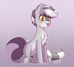 Size: 2000x1800 | Tagged: safe, artist:dsp2003, oc, oc only, oc:bandy cyoot, earth pony, pony, raccoon pony, :p, blushing, chest fluff, cute, female, gradient background, looking at you, mare, ocbetes, silly, sitting, solo, striped tail, tongue out
