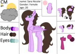 Size: 1103x793 | Tagged: safe, artist:cindystarlight, oc, oc only, oc:sara, pegasus, pony, female, mare, reference sheet, solo