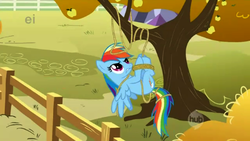 Size: 480x270 | Tagged: safe, screencap, rainbow dash, pegasus, pony, fall weather friends, g4, ei, female, fence, hub logo, mare, rope, solo, suspended, tangled up, tied up, tree
