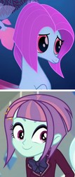 Size: 679x1584 | Tagged: safe, screencap, salina blue, sunny flare, equestria girls, g4, my little pony: the movie, comparison, cropped