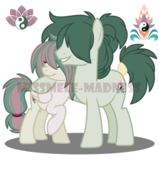 Size: 1165x1257 | Tagged: safe, artist:missbramblemele, oc, oc only, oc:cosmic clover, oc:lucky star, earth pony, pegasus, pony, female, male, mare, simple background, solo, stallion, transparent background, watermark