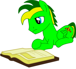 Size: 932x857 | Tagged: safe, artist:didgereethebrony, oc, oc only, oc:didgeree, pony, book, needs more saturation, reading, simple background, solo, transparent background