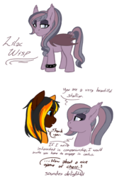 Size: 1024x1408 | Tagged: safe, artist:blackblood-queen, oc, oc only, oc:daniel dasher, oc:lilac wisp, bat pony, dracony, hybrid, pony, bat pony oc, dialogue, female, lidded eyes, looking at each other, male, mare, ponytail, simple background, slit pupils, speech bubble, spiked wristband, stallion, white background, wristband