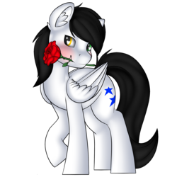 Size: 1771x1771 | Tagged: safe, artist:xcinnamon-twistx, oc, oc only, oc:first choice, pegasus, pony, flower, full body, heterochromia, holiday, male, rose, simple background, smiling, solo, transparent background, valentine, valentine's day