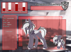 Size: 5000x3671 | Tagged: safe, artist:heart-sketch, oc, oc only, oc:lucas, pegasus, pony, absurd resolution, chibi, male, reference sheet, solo, stallion