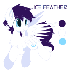 Size: 1248x1248 | Tagged: artist needed, safe, oc, oc only, oc:ice feather, pegasus, pony, male, reference sheet, simple background, smiling, solo, stallion, white background, wings