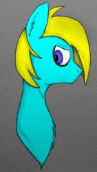 Size: 422x750 | Tagged: safe, artist:pale, oc, oc only, oc:photon jet, pony, bust, looking at you, solo