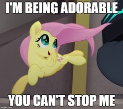 Size: 561x499 | Tagged: safe, edit, edited screencap, screencap, fluttershy, pegasus, pony, g4, my little pony: the movie, and nopony can stop me, cropped, cute, female, i'm being adorable and no one can stop me!, image macro, mare, meme, shyabetes, solo focus