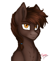 Size: 733x801 | Tagged: safe, artist:snowpaca, oc, oc only, oc:jokul, pony, alternate hairstyle, draft horse, fluffy, male, simple background, solo, stallion, strong, transparent background