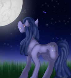 Size: 1024x1117 | Tagged: safe, artist:kotna-fewolf, oc, oc only, oc:cosmia nebula, pony, moon, night, solo, stars