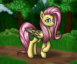 Size: 1200x1000 | Tagged: safe, artist:6editor9, fluttershy, pegasus, pony, g4, female, forest, looking at you, mare, path, raised hoof, smiling, solo, tree