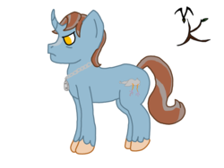 Size: 1280x960 | Tagged: safe, artist:valravnknight, oc, oc only, oc:rowan rune, pony, unicorn, bio in description, male, simple background, solo, stallion