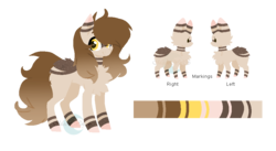 Size: 1002x550 | Tagged: safe, artist:moonwolf96, oc, oc only, oc:anina, earth pony, pony, female, mare, reference sheet, simple background, solo, transparent background