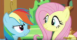 Size: 767x401 | Tagged: safe, screencap, fluttershy, rainbow dash, pony, g4, tanks for the memories, discovery family logo, duo, smiling
