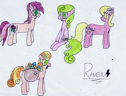 Size: 1024x783 | Tagged: safe, artist:ravenslpash26, daisy, flower wishes, junebug, lily, lily valley, roseluck, g4