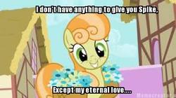 Size: 400x224 | Tagged: safe, edit, edited screencap, screencap, junebug, earth pony, pony, g4, female, image macro, implied junespike, implied shipping, implied spike, implied straight, meme, needs more jpeg, picture for breezies, ship:junespike, solo, wat