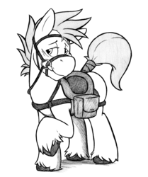 Size: 1280x1528 | Tagged: safe, artist:denzel, oc, oc only, oc:tin, pony, bridle, explicit source, male, monochrome, saddle, saddle bag, solo, tack, tail wrap, unshorn fetlocks