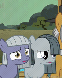 Size: 266x336 | Tagged: safe, screencap, igneous rock pie, limestone pie, marble pie, earth pony, pony, g4, the cutie mark chronicles, animated, cropped, cute, female, filly, gif, limabetes, marblebetes, pie sisters, siblings, sisters, smiling, when she smiles