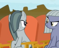 Size: 713x583 | Tagged: safe, screencap, limestone pie, marble pie, earth pony, pony, g4, rock solid friendship, cropped, duo, female, sisters