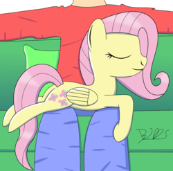 Size: 1742x1722 | Tagged: safe, artist:trackheadtherobopony, fluttershy, human, g4, behaving like a cat, couch, cute, duo, pillow, shyabetes, signature, sleeping
