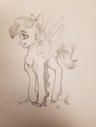 Size: 4032x3024 | Tagged: safe, artist:thebirbdraws, rainbow dash, pegasus, pony, g4, female, smiling, solo, traditional art
