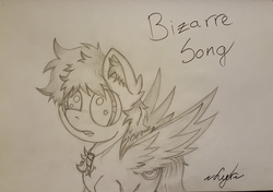 Size: 1060x746 | Tagged: safe, artist:luriel maelstrom, oc, oc only, oc:bizarre song, pegasus, pony, cute, jewelry, male, messy mane, necklace, solo, traditional art