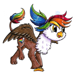 Size: 465x453 | Tagged: safe, artist:gummysky, artist:happy-go-creative, artist:violetdanka-n-silly, oc, oc only, oc:rainbow feather, pony, fledgeling, interspecies offspring, magical lesbian spawn, offspring, parent:gilda, parent:rainbow dash, parents:gildash, rainbow hair, simple background, solo, transparent background