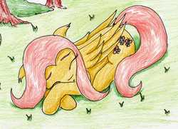 Size: 2193x1588 | Tagged: safe, artist:40kponyguy, derpibooru exclusive, fluttershy, pegasus, pony, g4, 30 minute art challenge, cute, eyes closed, female, floppy ears, grass, lying down, shyabetes, sleeping, solo, traditional art