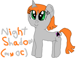 Size: 1600x1200 | Tagged: safe, artist:nightshadowmlp, oc, oc only, oc:night shadow, pony, eye clipping through hair, firealpaca, simple background, solo, transparent background