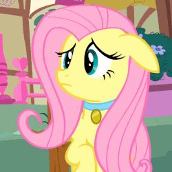 Size: 540x540 | Tagged: safe, edit, edited screencap, screencap, fluttershy, pony, g4, animated, bark, barking, behaving like a dog, collar, cropped, cute, dog collar, female, floppy ears, flutterdog, flutterpet, frown, loop, open mouth, pet collar, pet tag, raised hoof, shyabetes, solo, wide eyes
