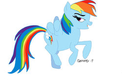 Size: 1646x1080 | Tagged: safe, artist:qeinone, rainbow dash, pegasus, pony, g4, female, mare, simple background, solo, white background