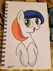 Size: 1072x1440 | Tagged: safe, artist:wolftendragon, oc, oc only, oc:sud scrubber, oc:tide pod, food pony, pony, bust, female, happy, mare, ponified, portrait, signature, solo, tide pods, tide pony, traditional art