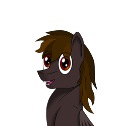 Size: 1000x1000 | Tagged: safe, artist:caucow, oc, oc only, oc:shadowtrot flamewraith, dracony, dragon, hybrid, pegasus, pony, bust, male, portrait, simple background, smiling, solo, stallion, transparent background