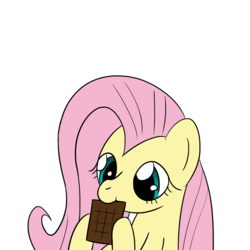 Size: 1280x1280 | Tagged: safe, artist:phat_guy, derpibooru exclusive, fluttershy, pegasus, pony, g4, bust, chocolate, chocolate bar, cute, eating, female, food, hoof hold, mare, nibbling, nom, raised hoof, raised leg, shyabetes, simple background, solo, white background