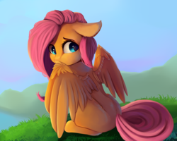 Size: 2500x2000 | Tagged: dead source, safe, artist:miokomata, fluttershy, pegasus, pony, g4, cute, female, high res, looking back, mare, missing cutie mark, shyabetes, solo